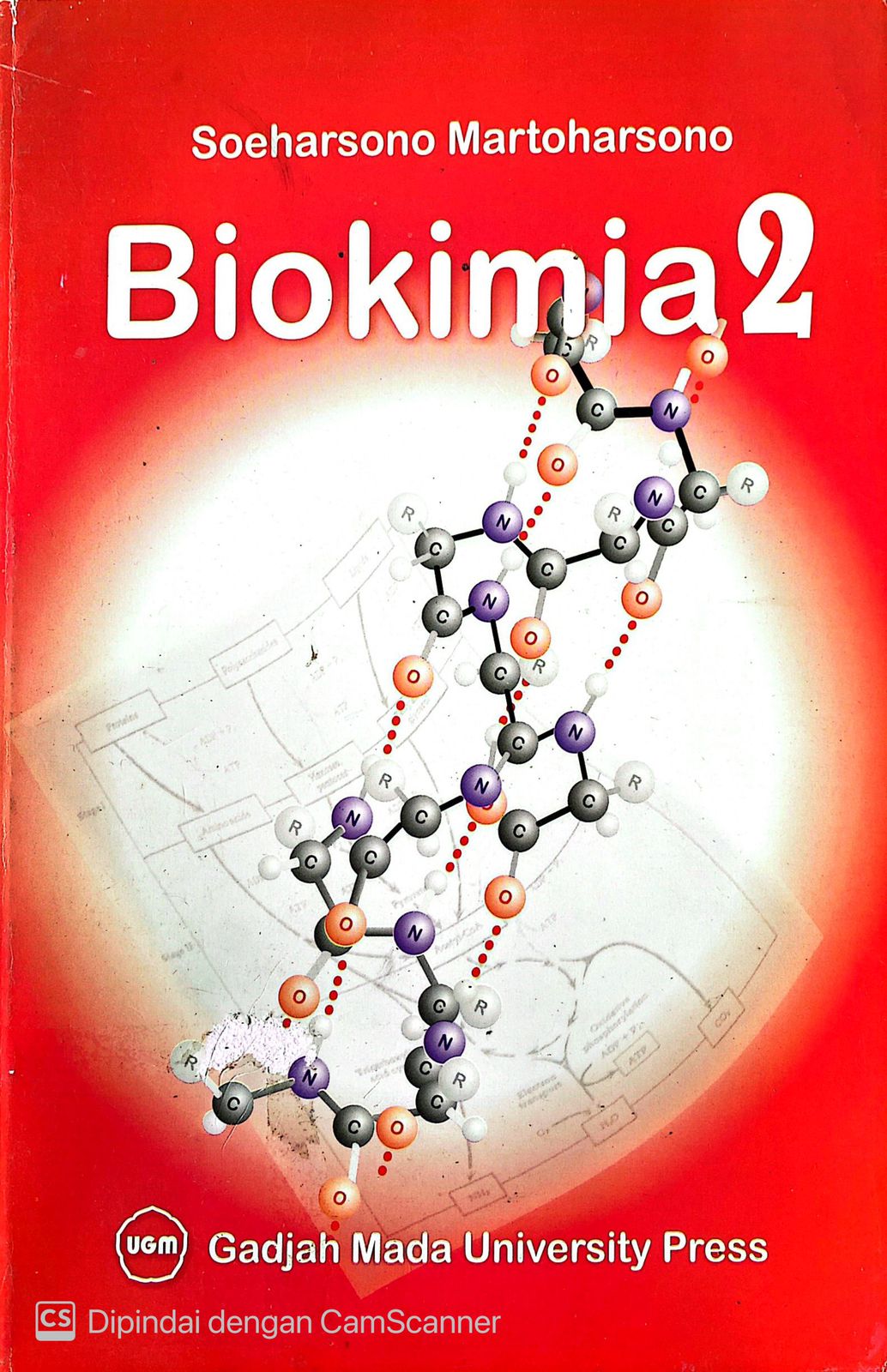 Cover Biokimia2